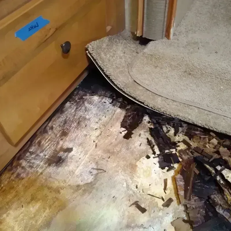 Wood Floor Water Damage in Highland Heights, OH